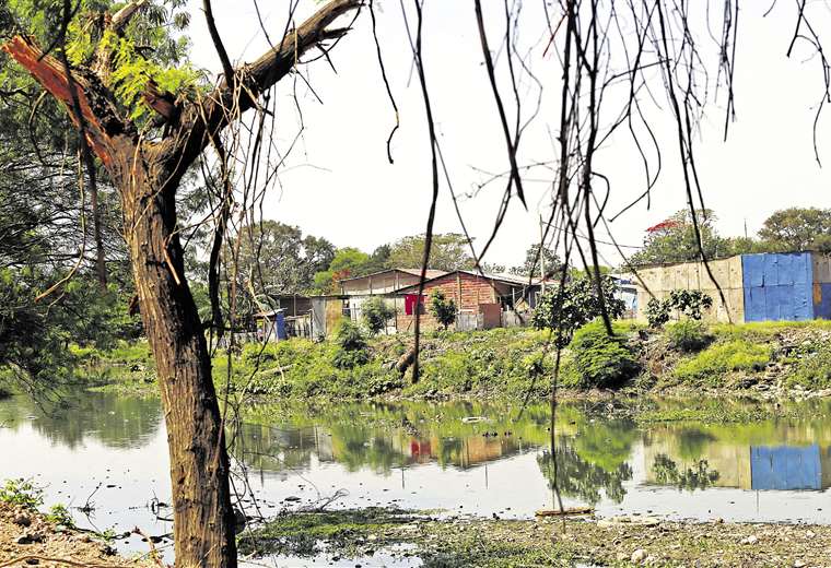  Laguna Claracuta en riesgo de desaparecer por los loteamientos y la contaminación